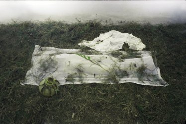 1482743939-5860e0839d28d-shores-of-the-unknown-new-13-by-conceptual-artist-diwan-manna-jpg.jpg