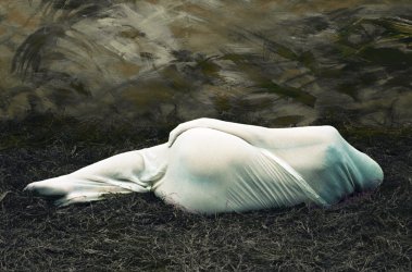 1482744539-5860e2db6f7e5-shores-of-the-unknown-new-2-by-conceptual-artist-diwan-manna.jpg